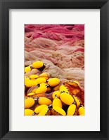 Framed Commercial Fishing Nets with Floats, Port-Vendres, Vermillion Coast, Pyrennes-Orientales, Languedoc-Roussillon, France