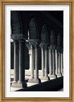 Framed Cloister of a church, Cloitre des Jacobins, Eglise des Jacobins, Toulouse, Haute-Garonne, Midi-Pyrenees, France