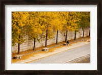 Framed Riverfront, Ile de la Cite, Paris, Ile-de-France, France