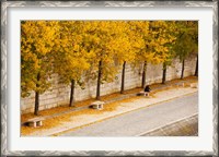 Framed Riverfront, Ile de la Cite, Paris, Ile-de-France, France