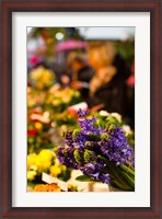 Framed Bunch of flowers at a flower shop, Rue De Buci, Paris, Ile-de-France, France