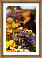 Framed Bunch of flowers at a flower shop, Rue De Buci, Paris, Ile-de-France, France