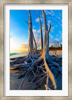 Framed Lovers Key State Park, Lee County, Florida