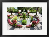 Framed Lily pads in a pond, Isola Madre, Stresa, Lake Maggiore, Italy