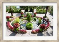 Framed Lily pads in a pond, Isola Madre, Stresa, Lake Maggiore, Italy