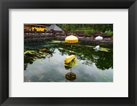 Framed Covered stones with umbrella in ritual pool at holy spring temple, Tirta Empul Temple, Tampaksiring, Bali, Indonesia