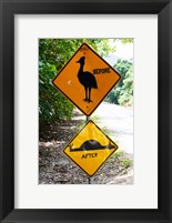 Framed Warning sign at the roadside, Cape Tribulation, Queensland, Australia