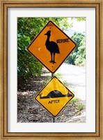Framed Warning sign at the roadside, Cape Tribulation, Queensland, Australia
