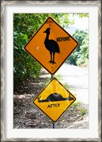 Framed Warning sign at the roadside, Cape Tribulation, Queensland, Australia