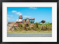 Framed Sugar Cane being Harvested, Australia