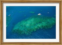 Framed Aerial view of coral reef in the pacific ocean, Great Barrier Reef, Queensland, Australia