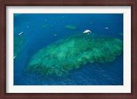 Framed Aerial view of coral reef in the pacific ocean, Great Barrier Reef, Queensland, Australia