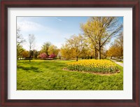 Framed Flowers with trees at Sherwood Gardens, Baltimore, Maryland, USA