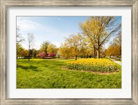 Framed Flowers with trees at Sherwood Gardens, Baltimore, Maryland, USA