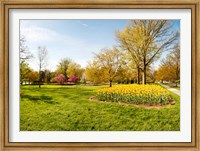 Framed Flowers with trees at Sherwood Gardens, Baltimore, Maryland, USA