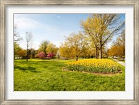 Framed Flowers with trees at Sherwood Gardens, Baltimore, Maryland, USA