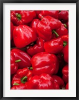 Framed Red bell peppers for sale at weekly market, Arles, Bouches-Du-Rhone, Provence-Alpes-Cote d'Azur, France