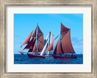 Framed Three Tall ships in the Baie De Douarnenez, France
