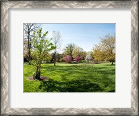 Framed Sherwood Gardens, Baltimore