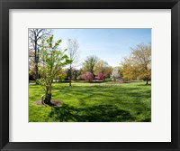 Framed Sherwood Gardens, Baltimore