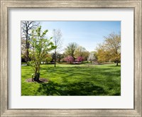 Framed Sherwood Gardens, Baltimore
