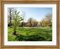 Framed Sherwood Gardens, Baltimore
