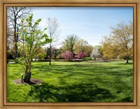 Framed Sherwood Gardens, Baltimore