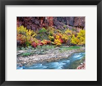 Framed Virgin River and rock face at Big Bend, Zion National Park, Springdale, Utah, USA