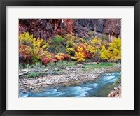 Framed Virgin River and rock face at Big Bend, Zion National Park, Springdale, Utah, USA