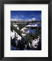 Framed Snow covered trees in winter, Godfrey Glen, Crater Lake National Park, Oregon, USA