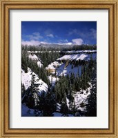Framed Snow covered trees in winter, Godfrey Glen, Crater Lake National Park, Oregon, USA
