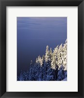Framed Winter at South Rim, Crater Lake National Park, Oregon