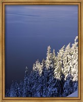 Framed Winter at South Rim, Crater Lake National Park, Oregon