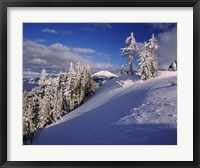 Framed Snow covered trees in winter, Mt. Scott, Crater Lake National Park, Oregon, USA