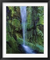 Framed Wheeler Creek Waterfall on Dutton Ridge, Crater Lake National Park, Oregon, USA