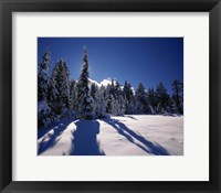 Framed Sunrise through snow covered fir trees at South Rim, Crater Lake National Park, Oregon, USA