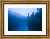 Framed River passing through a forest in the rainy morning, Jedediah Smith Redwoods State Park, Crescent City, California, USA