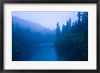 Framed River passing through a forest in the rainy morning, Jedediah Smith Redwoods State Park, Crescent City, California, USA