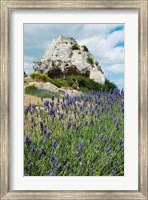 Framed Lavender field in front of ruins of fortress on a rock, Les Baux-de-Provence, Provence-Alpes-Cote d'Azur, France