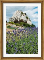 Framed Lavender field in front of ruins of fortress on a rock, Les Baux-de-Provence, Provence-Alpes-Cote d'Azur, France