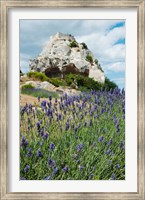 Framed Lavender field in front of ruins of fortress on a rock, Les Baux-de-Provence, Provence-Alpes-Cote d'Azur, France