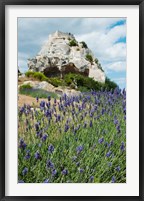 Framed Lavender field in front of ruins of fortress on a rock, Les Baux-de-Provence, Provence-Alpes-Cote d'Azur, France