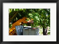 Framed Cherry Harvester, Cucuron, Vaucluse, Provence-Alpes-Cote d'Azur, France