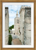 Framed Church in a city, Cathedrale Notre-Dame des Doms d'Avignon, Palais des Papes, Provence-Alpes-Cote d'Azur, France
