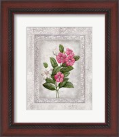 Framed Floral III