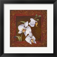 Framed Orchid Study I