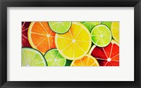 Framed Fruit Slices