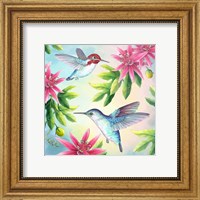 Framed Bee Hummingbirds