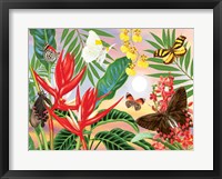 Framed Butterflies and Red Christmas Heliconia