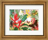 Framed Butterflies and Red Christmas Heliconia